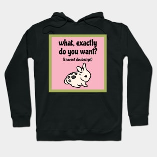 What, exactly do you want? I haven’t decided yet (Indecisive Cute Bunny) Hoodie